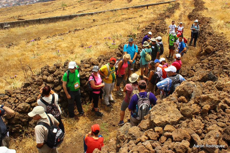Camino Candelaria 1