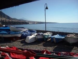 DSCN5593