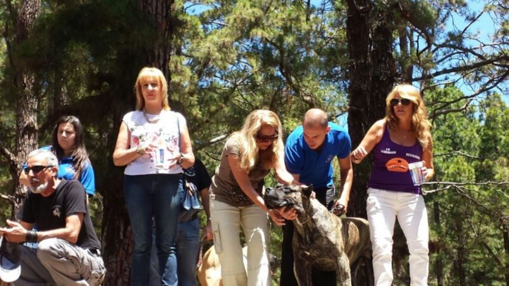 I Paseo Canino El Rosario 01