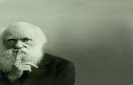 darwin2
