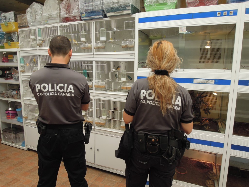 policia canaria 146