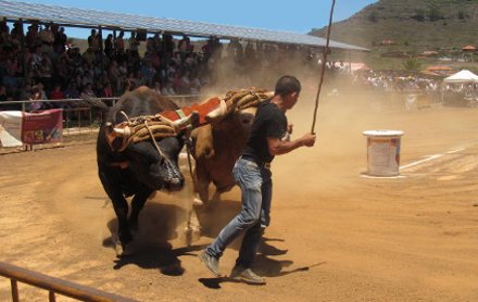 sanbenitoarrastre2013006