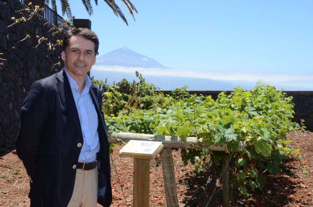 Casa del Vino-Jardín Viñas 01