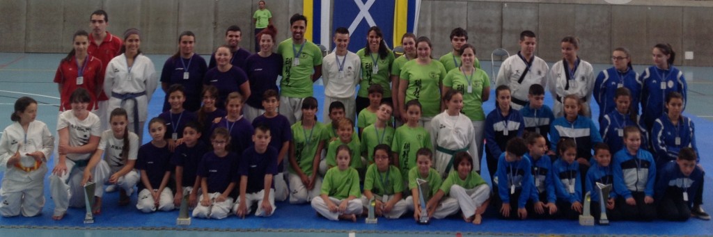 NP140808 Taekwondo