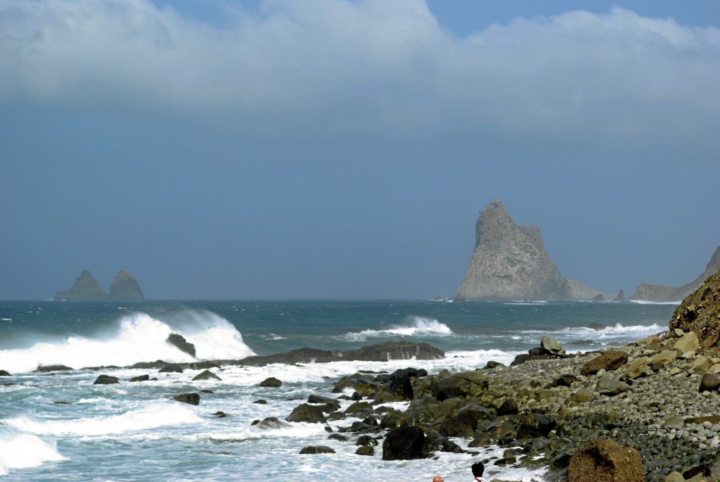 roque ana