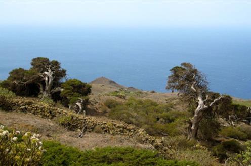 230914El-Hierro-I