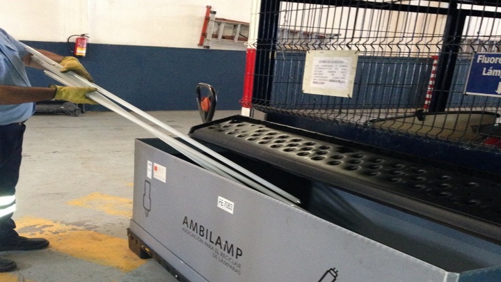 Reciclado de bombillas