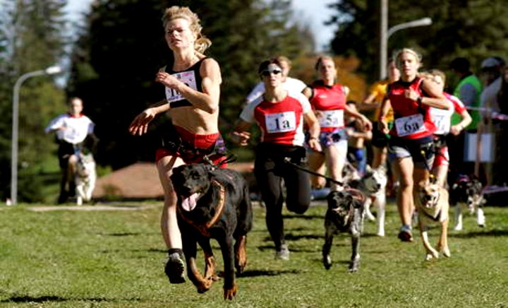 canicross14