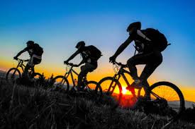 bici