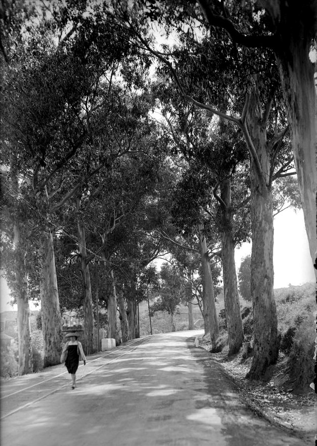 carretera Taconte a passaporte 1931