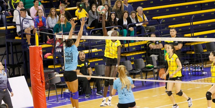 volei 15