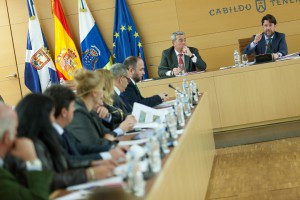 Pleno del cabildo. Salón de Plenos/Tony Cuadrado Freelancer