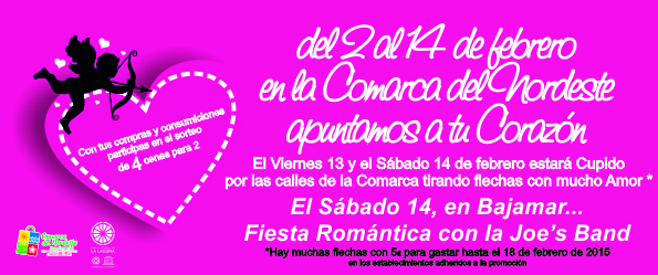 enamorados 2015 banner w