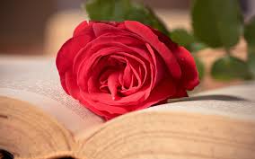 libro flor
