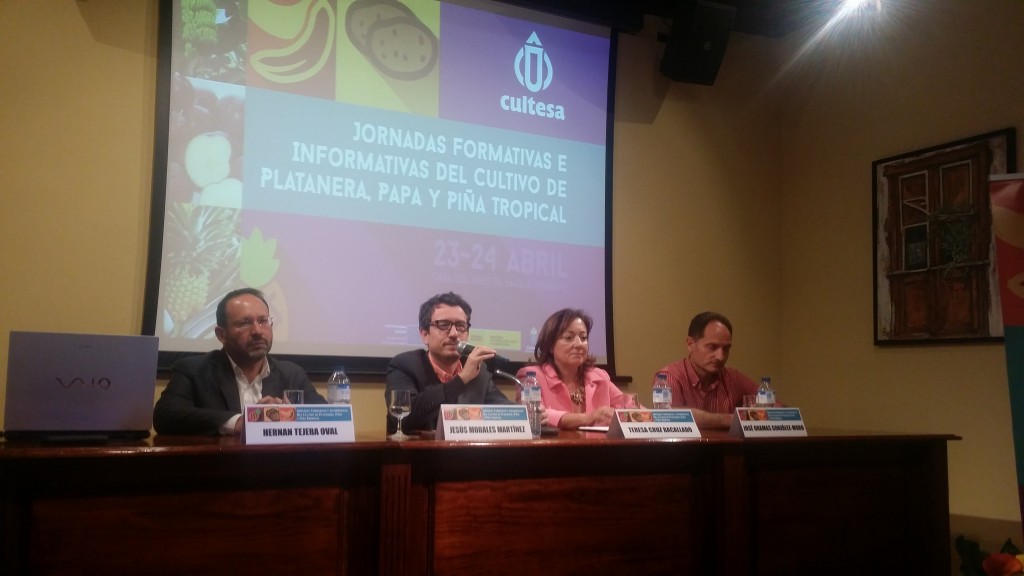 Casa del Vino-Jornadas platanera, papa y pi+¦a