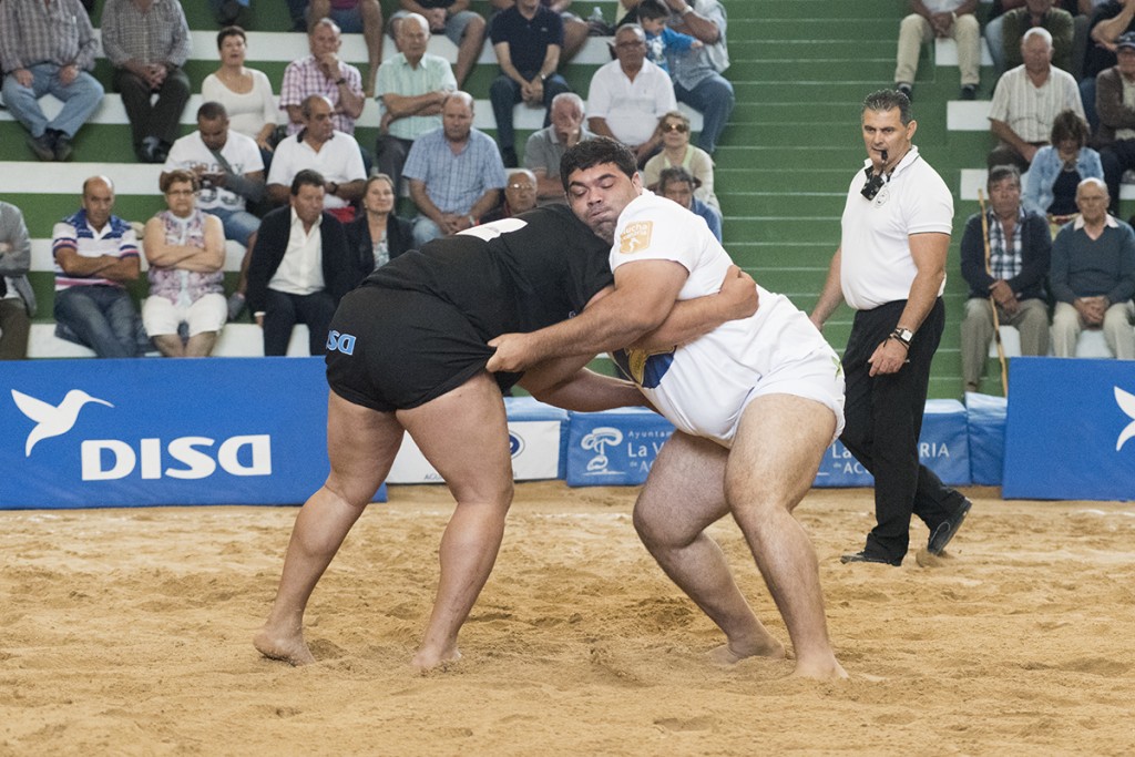 luchada24