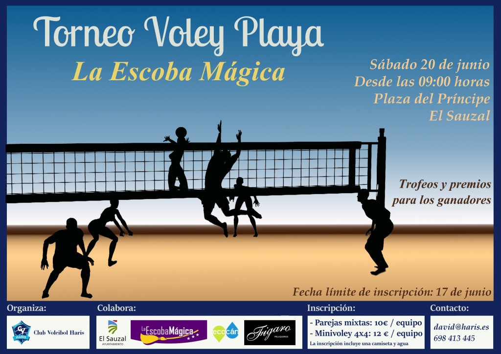 cartel voley playa ok
