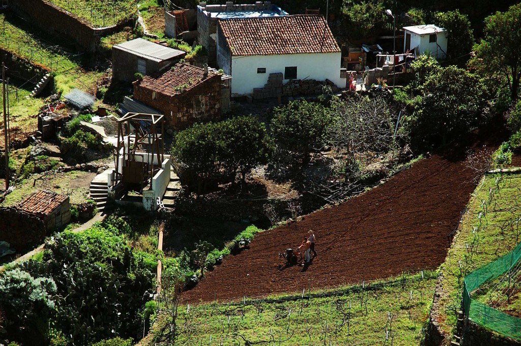 caserío El Batán - Monte de Las Mercedes