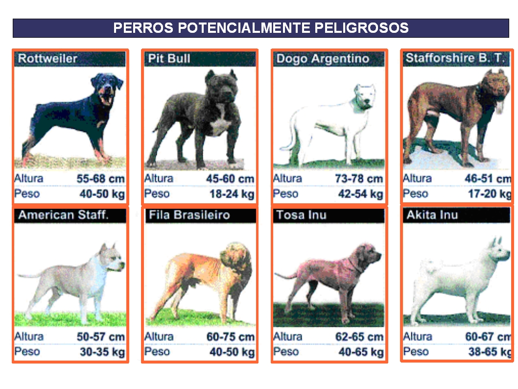perros-peligrosos