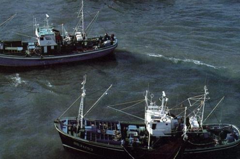 Pesqueros faenando Interior