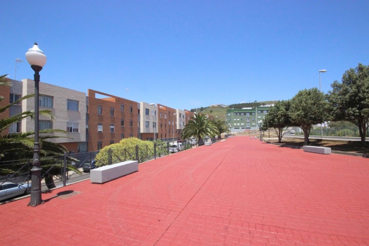 verdellada lomop