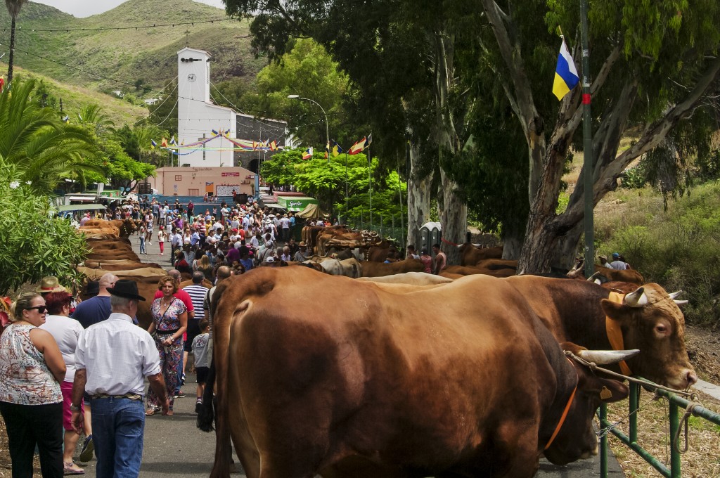 Valle Jiménez