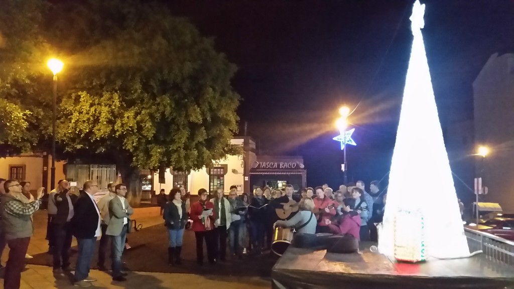 Encendido comarca nordeste Tejina, 26_11_2015
