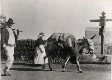 lacruzdelcamino
