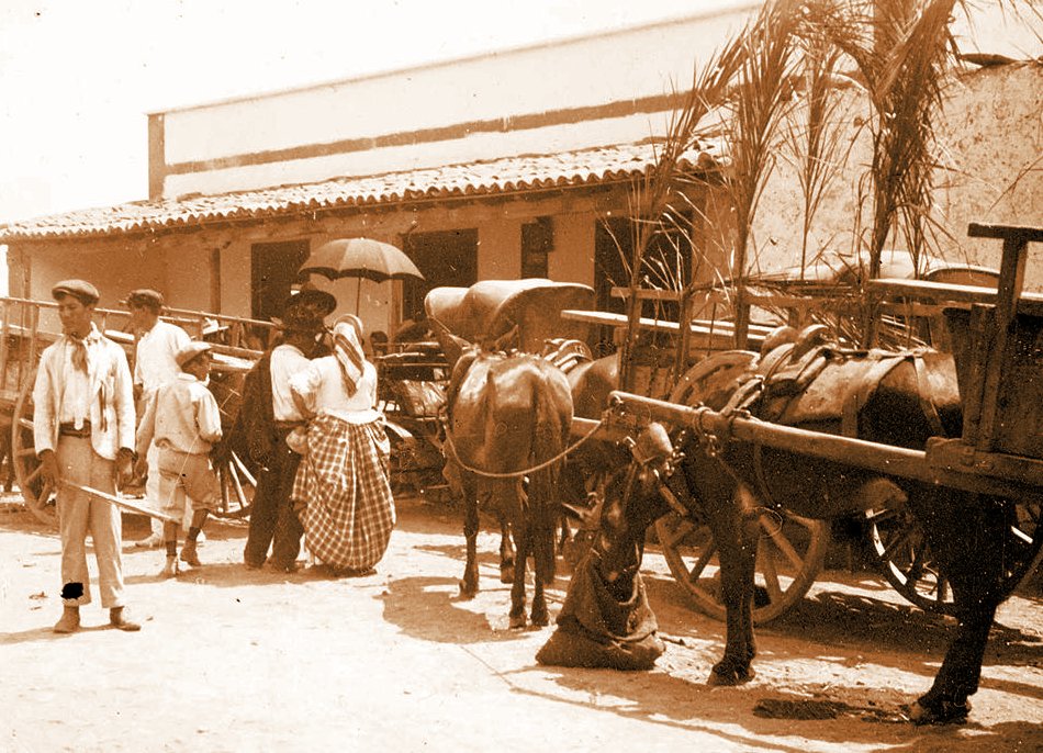 romeria candelaria 1906 bisjpg