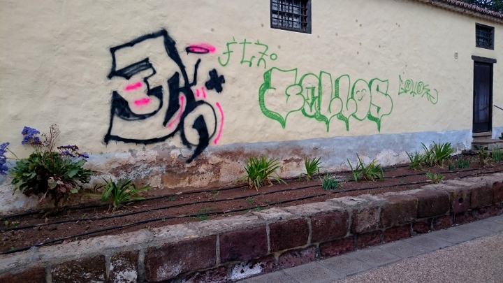 san roque pintadas