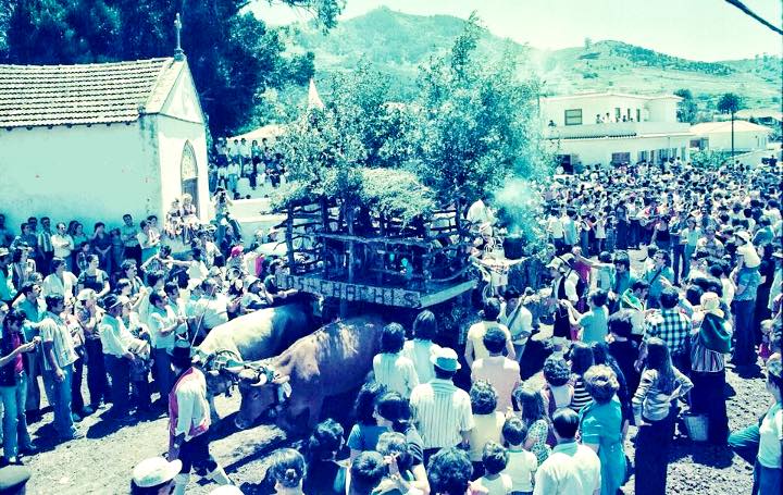 romería de tegueste