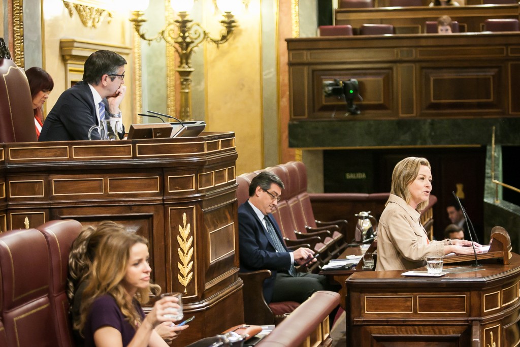 Ana Oramas. Pleno Rajoy