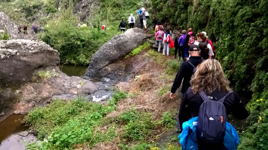 FOTO_001