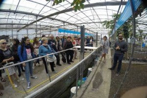 Visita invernadero ICIA1024