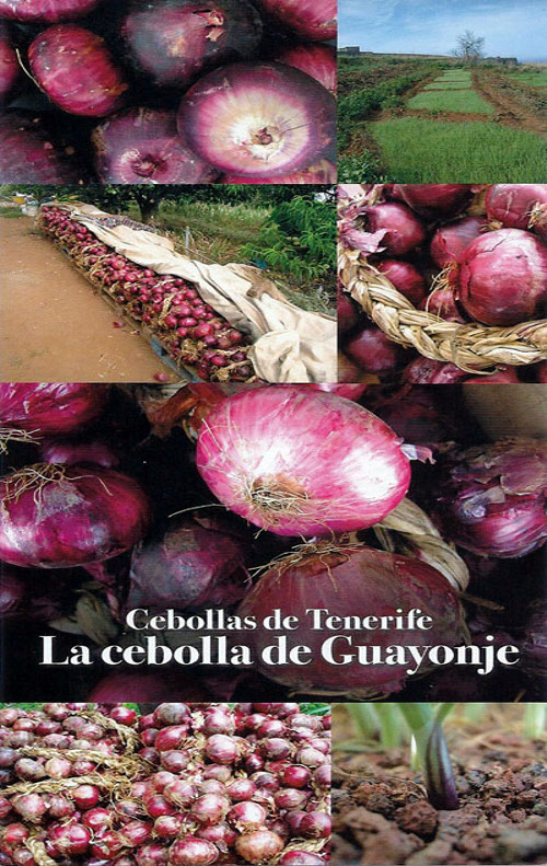 cebollaguayonje1