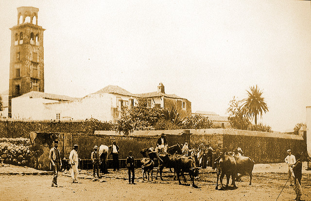 concepción bolos