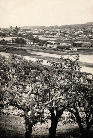 lalaguna