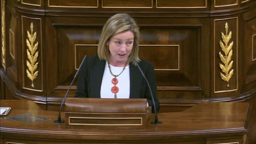 ANA ORAMAS SEGUNDA VOTACION INVESTIDURA