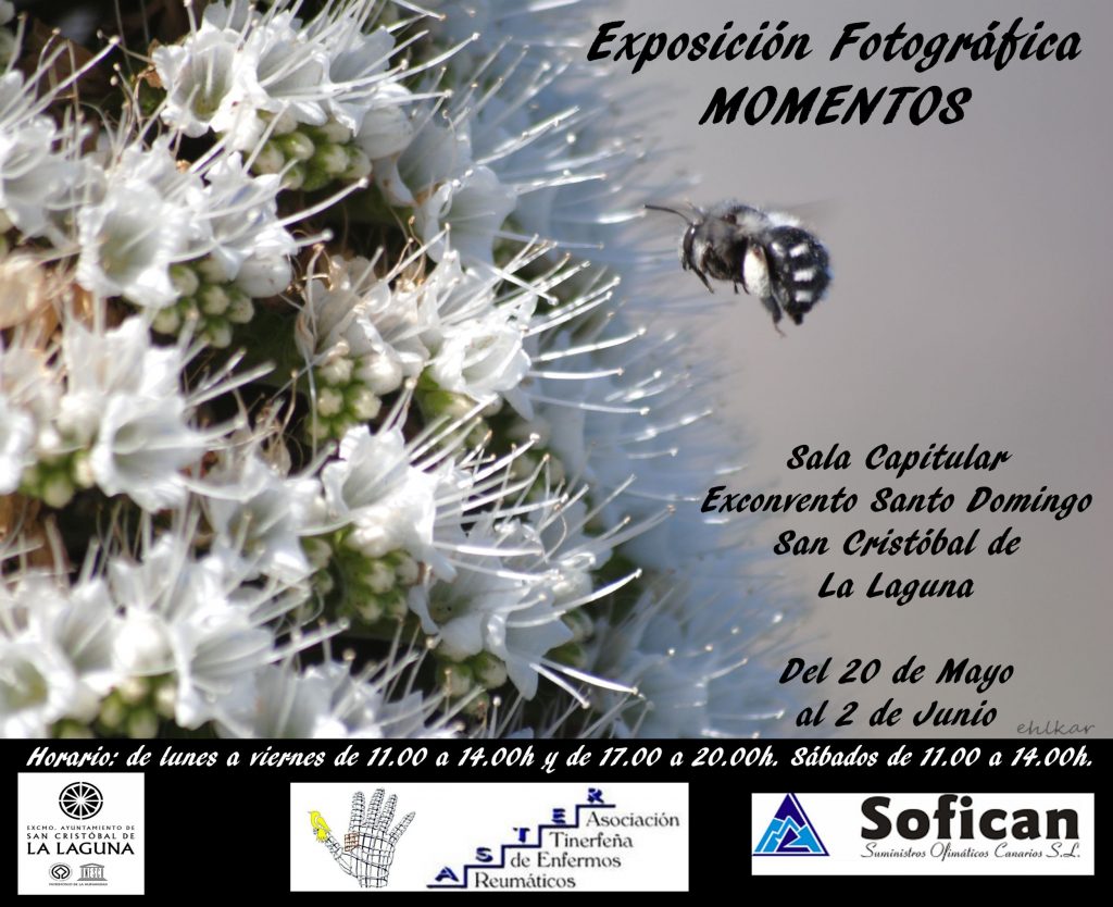 Cartel Exposición Momentos