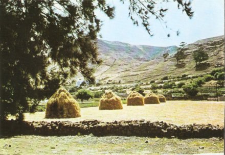 royeras