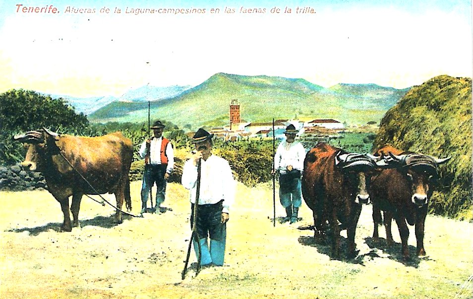 trilla la laguna