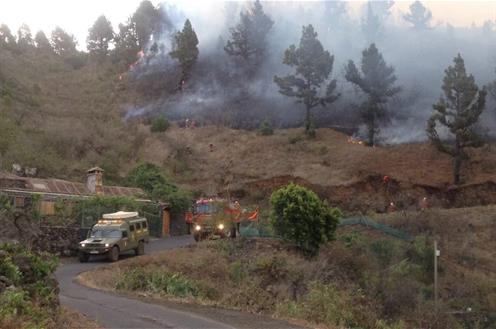 050816incendiopalma