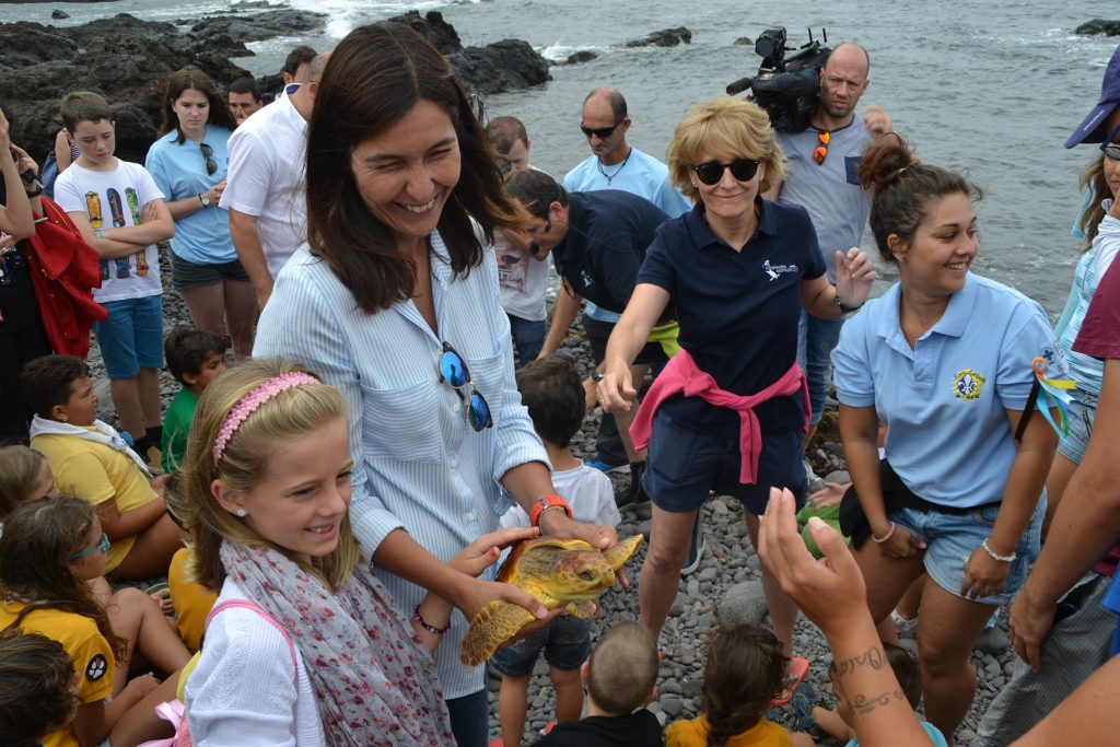 Tortugas1