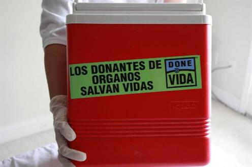 dona2-I