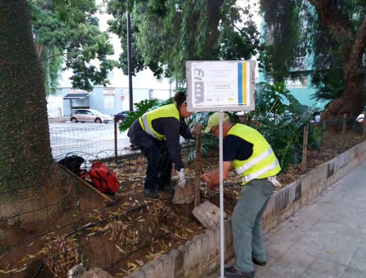 limpieza-jardines-23-de-sept-jpg