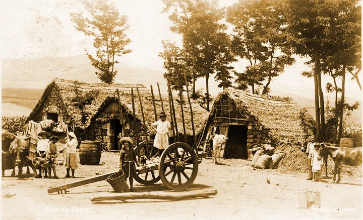 casas-pajizas