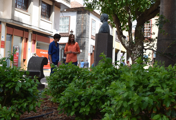 plantas-jardines-1-de-octubre