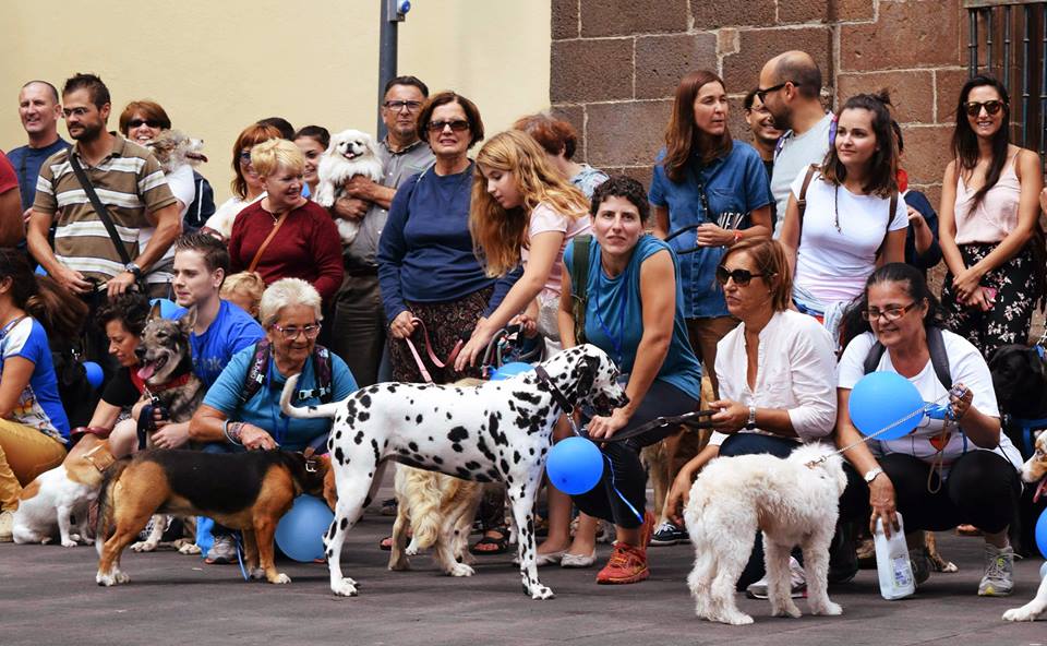 charlas-caninas-14-de-octubre