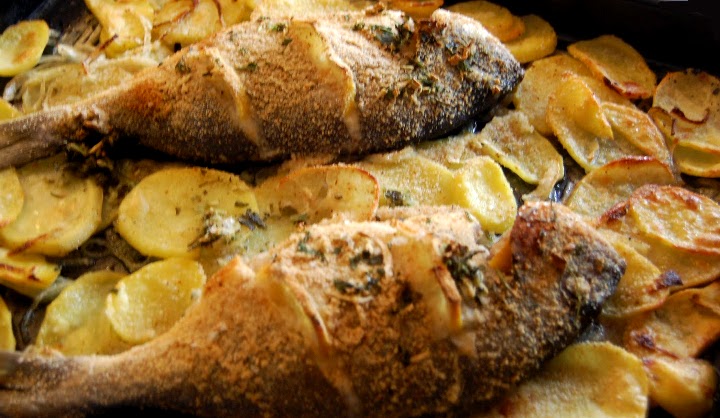 dorada