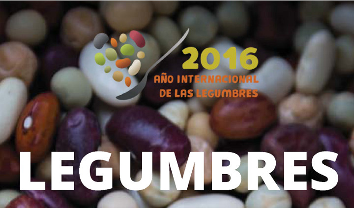 legumbres-bis